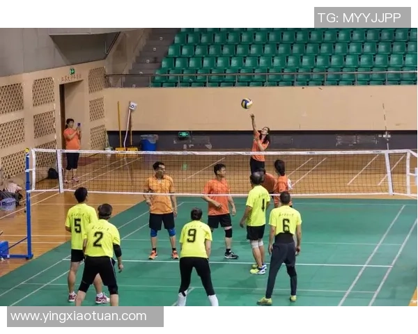 南京排球队比赛经验分享与提升策略探讨